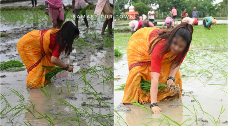 पूसा कृषि विश्वविद्यालय की सलाह: वैज्ञानिक ढंग से धान की खेती कर कम लागत में पाएं अधिक उत्पादन 1 5c148e80 7973 4fab a277 895bb4719e7d