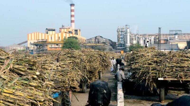 69e8367859f1d sugar mill 22461145 16x9 1