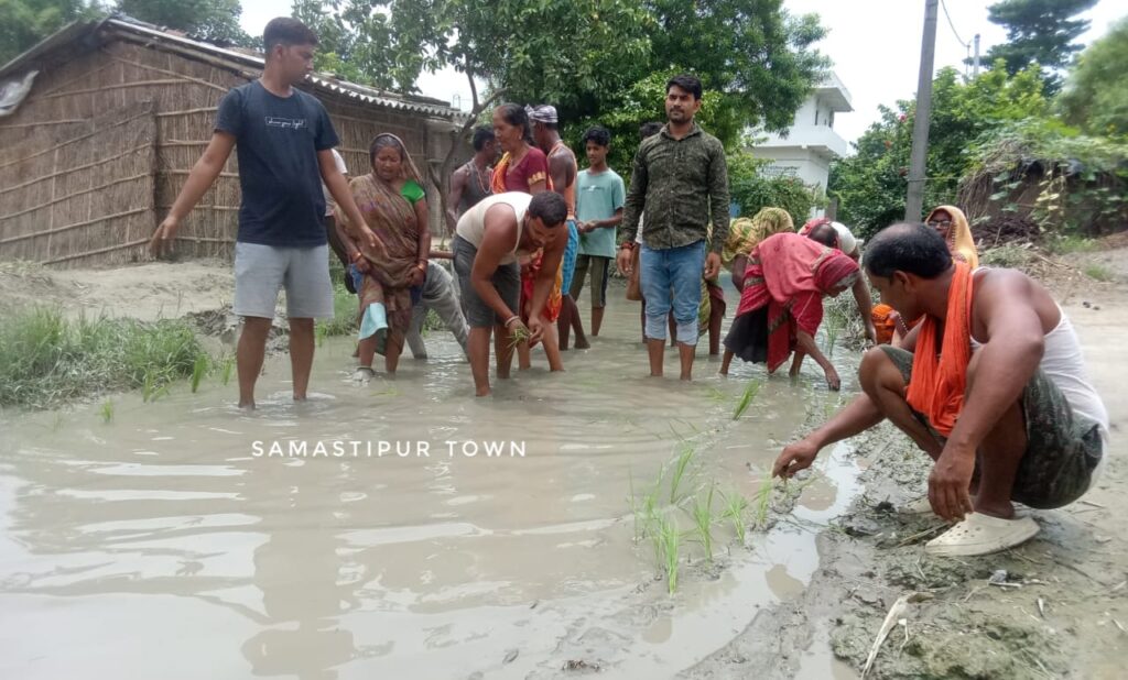 10 वर्षों से बदहाल सड़क पर फूटा ग्रामीणों का गुस्सा, जलजमाव में धान की रोपाई कर जताया विरोध 1 c8f34ed0 5a0c 45f6 bd0d 64a545cba5ae
