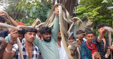 68768d3e4155a snake fair in samastipur 151744772 16x9 1