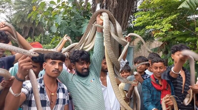 68768d3e4155a snake fair in samastipur 151744772 16x9 1