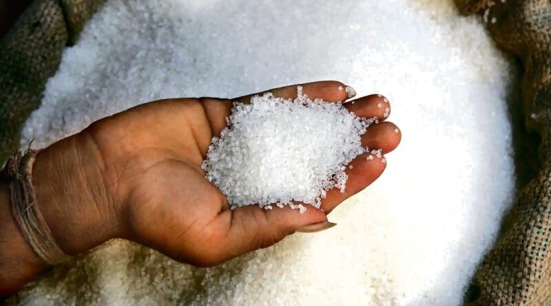 sugar 1736177191
